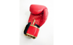 Боксерские перчатки Raja Snake red 16 oz Боксерские перчатки Raja Snake red 16 oz