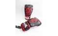 Боксерские перчатки Raja Snake black 14 oz