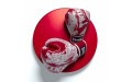 Боксерские перчатки TWINS Special FBGVL3-49 red white 10 oz