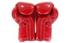 Боксерские перчатки BGV6 red 14 oz Боксерские перчатки BGV6 red 14 oz
