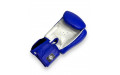Боксерские перчатки Twins Special FBGVL3-6 blue white 12 oz