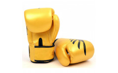 Боксерские перчатки Fairtex BGV1 Falcon 14 oz Боксерские перчатки Fairtex BGV1 Falcon 14 oz