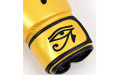 Боксерские перчатки Fairtex BGV1 Falcon 14 oz