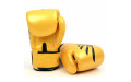 Боксерские перчатки Fairtex BGV1 Falcon 16 oz