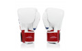 Боксерские перчатки Fairtex BGV1 Thai PriDe 14 oz