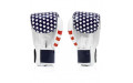 Боксерские перчатки Fairtex BGV1 USA 12 oz