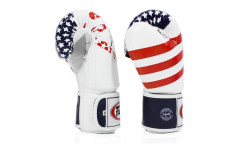 Боксерские перчатки Fairtex BGV1 USA 16 oz