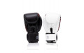 Боксерские премиальные перчатки Fairtex BGV24 16 oz