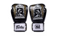 Боксерские перчатки Fairtex BGV premium Reversal 14 oz