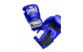 Боксерские перчатки Top King TKBSA blue 12 oz