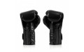 Боксерские перчатки Fairtex BGV9 black 10 oz