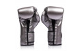 Боксерские перчатки Fairtex BGV9C-PLUS gun metallic 12 oz