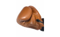 Боксерские перчатки Twins Special BGVL3 brown 16 oz