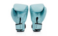 Боксерские перчатки Fairtex BGV20 light blue 12 oz