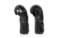 Боксерские перчатки Fairtex BGV9C-PLUS black 16 oz