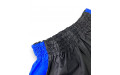 Шорты для бокса Blegend Powerhous black blue - L