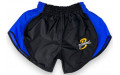 Шорты для бокса Blegend Powerhous black blue - L