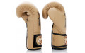 Боксерские перчатки Fairtex BGV25 F-DaY2 10 oz