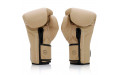 Боксерские перчатки Fairtex BGV25 F-DaY2 14 oz