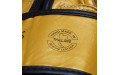 Боксерские перчатки Fairtex BGV19 gold 14 oz