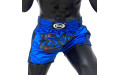 Шорты для бокса Fairtex BS1702 (синий) XL Шорты для бокса Fairtex BS1702 (синий) XL
