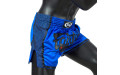 Шорты для бокса Fairtex BS1702 (синий) XL