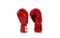 Боксерские перчатки Fairtex BGV19 red 16 oz