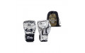 Перчатки для бокса Fairtex BGV-FIGHT STORY 12 oz