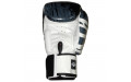 Боксерские перчатки FBGVL3-TW5 black white 10 oz
