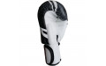 Боксерские перчатки FBGVL3-TW5 black white 10 oz