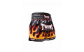 Шорты для бокса Twins Special TBS Flame XL