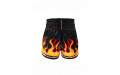 Шорты для бокса Twins Special TBS Flame XL
