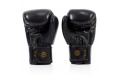 Боксерские перчатки Fairtex BGV19 black 12 oz