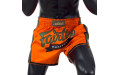 Шорты для бокса Fairtex BS1705 (оранжевый) XL Шорты для бокса Fairtex BS1705 (оранжевый) XL