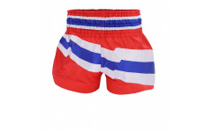 Шорты для бокса TKTBS244 thai-flag 2XL