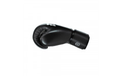 Боксерские перчатки Fairtex BGV27 black 10 oz