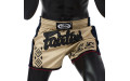 Шорты для бокса Fairtex BS1713 (бежевый) S Шорты для бокса Fairtex BS1713 (бежевый) S