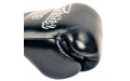Боксерские перчатки Fairtex BGV5 black 10 oz