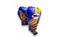 Боксерские перчатки Twins FBGVL3-43 blue yellow 10 oz