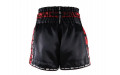 Шорты для бокса Twins Special TBS skull black XL