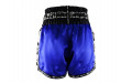 Шорты для бокса Twins Special TBS skull blue XL