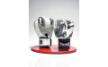 Боксерские перчатки TWINS FBGVL3-49 white black 12 oz