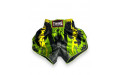 Шорты для бокса Twins Special TBS Candy green M Шорты для бокса Twins Special TBS Candy green M