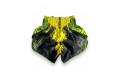 Шорты для бокса Twins Special TBS Candy green S