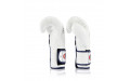 Боксерские перчатки Fairtex BGV9 white 10 oz