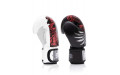Боксерские премиальные перчатки Fairtex BGV24 10 oz
