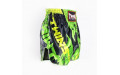 Шорты для бокса Twins Special TBS Candy green XL