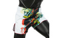 Шорты для бокса Fairtex BS1908 (белый) M