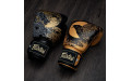 Боксерские премиальные перчатки Fairtex BGV26 Harmony Six 10 oz