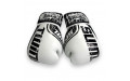 Боксерские перчатки FBGDM12-TW7 white 10 oz